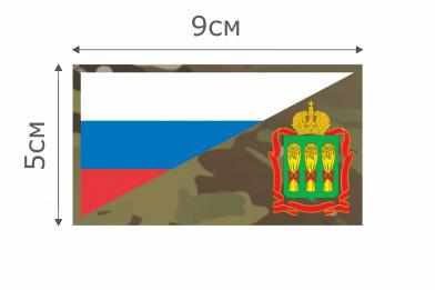 Ф058MC Патч MC Флаг РФ Пензенская область 5х9см  фото, описание