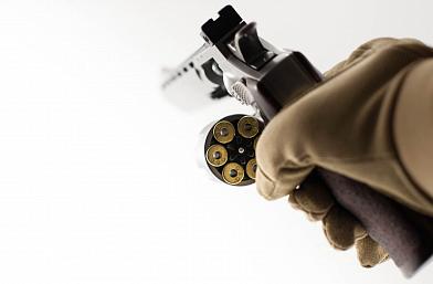 Револьвер страйкбольный G&G G734 SV CO2-734-PST-SNB-NCM фото, описание