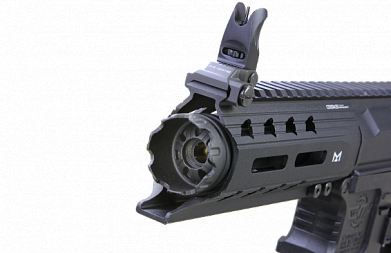 Автомат G&G ARP 556 V2S body plastic 110-120m/s EGC-556-V2S-BNB-NCM фото, описание
