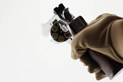 Револьвер страйкбольный G&G G733 SV CO2-733-PST-SNB-NCM фото, описание