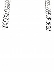 Пружина для магазина усиленная двухрядная длина 920 мм фото, описание