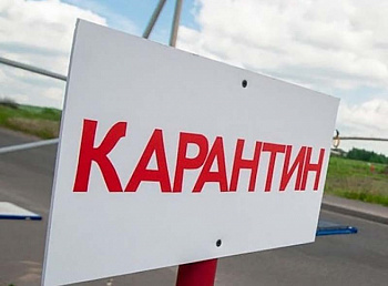 Карантин продолжается Карантин продолжается
